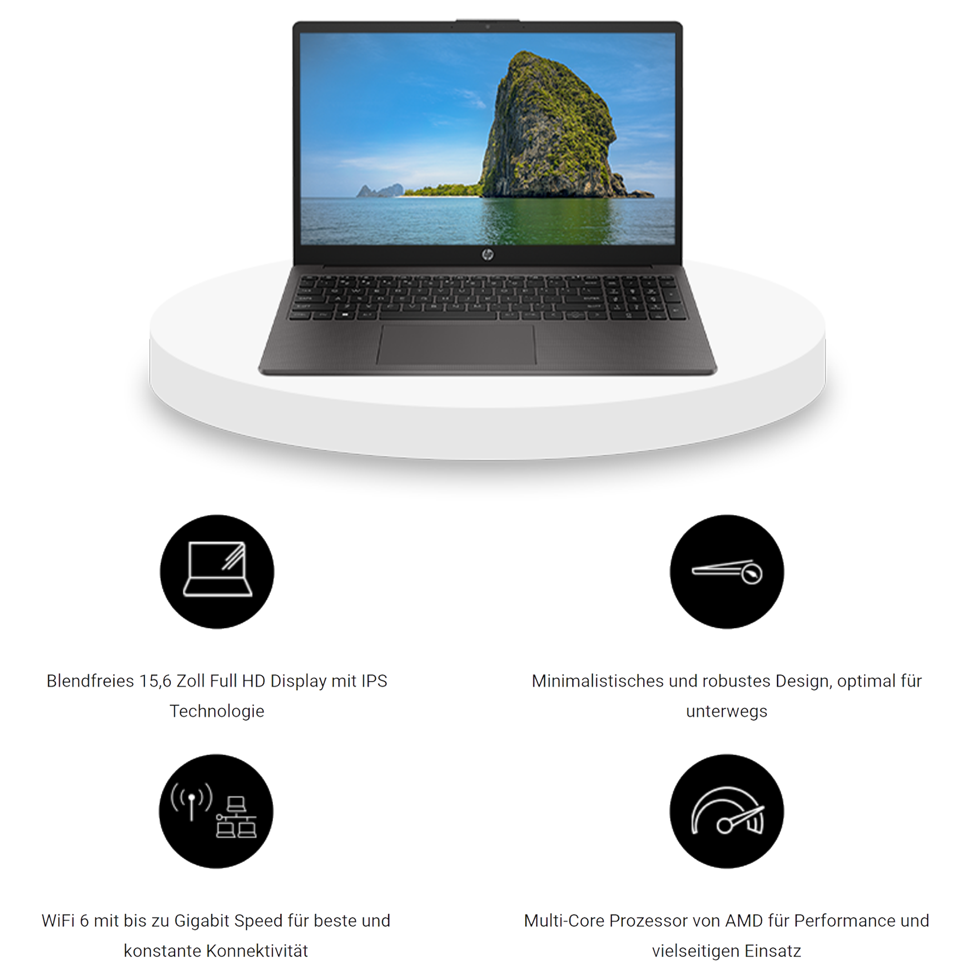 HP 255 G10 Business Laptop, 15.6" FHD, Ryzen 7 7730U, QWERTZ, W11Home