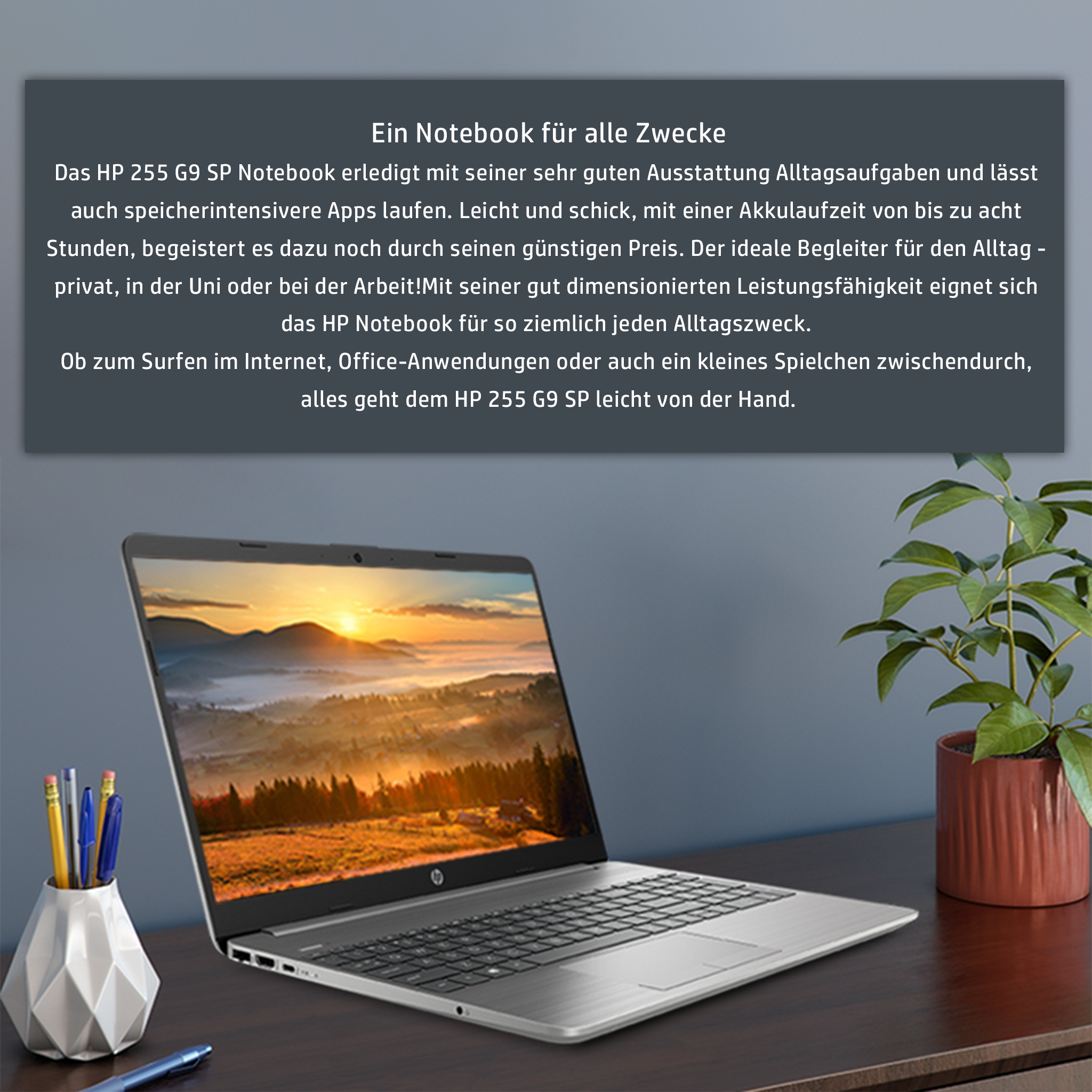 HP 255 G9 Business Laptop, 15.6" FHD, Ryzen 5 5625U, Win11Pro, QWERTZ