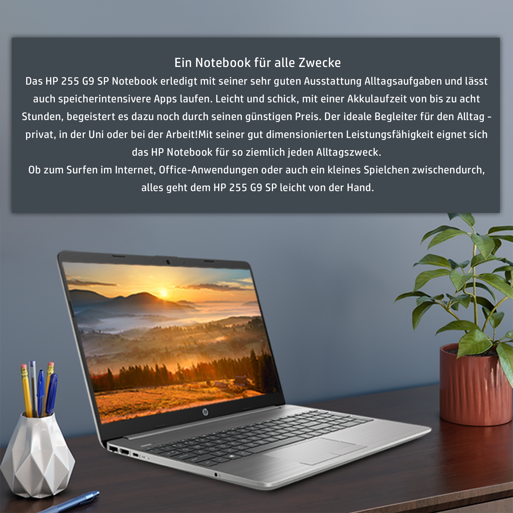 HP 255 G9 Business Laptop, 15.6" FHD, Ryzen 7 5825U, W11Pro, QWERTZ