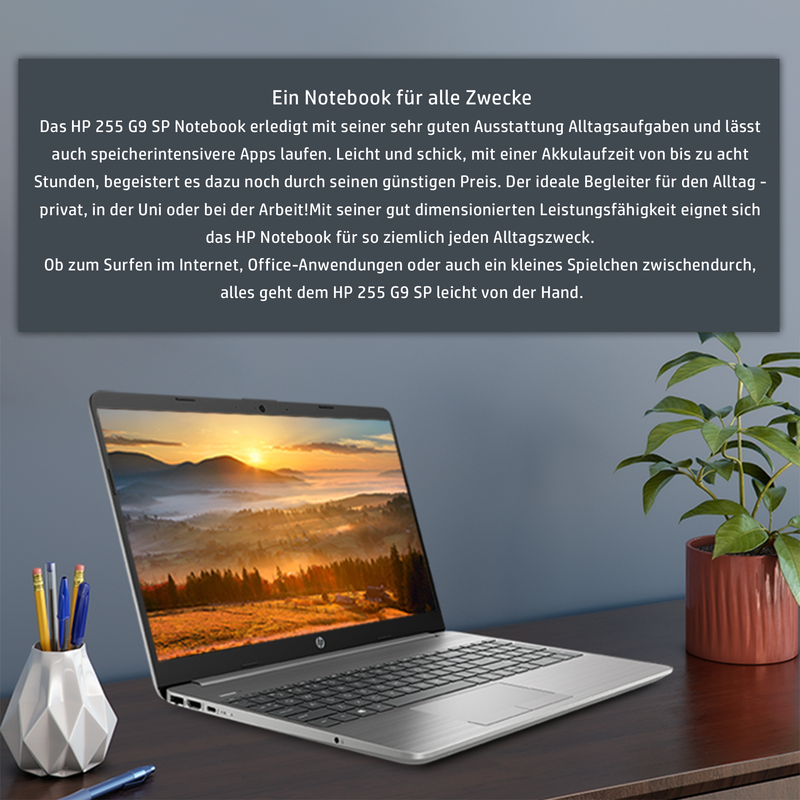 HP 255 G9 Business Laptop, 15.6" FHD, Ryzen 7 5825U, W11Pro, QWERTZ