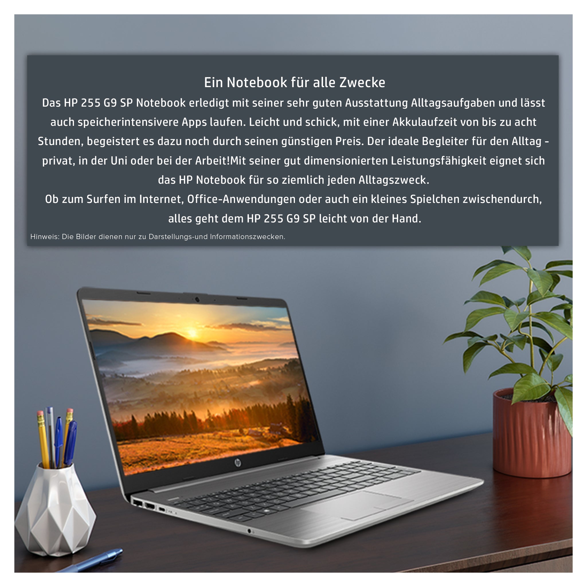 HP 255 G9 Business Laptop, 15.6" FHD, Ryzen 5 5625U, Win11Pro, QWERTZ